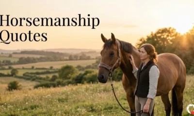 Horsemanship Quotes