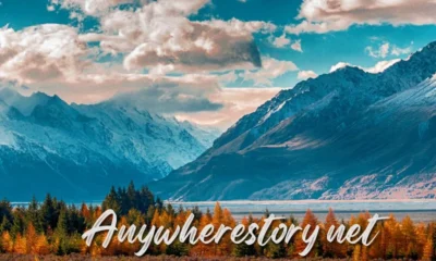 Anywherestory net
