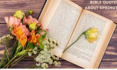 Bible Quotes About Springtime