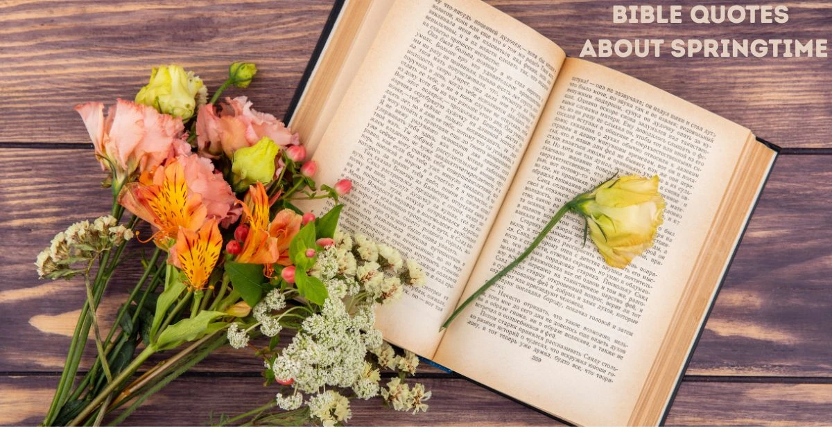 Bible Quotes About Springtime