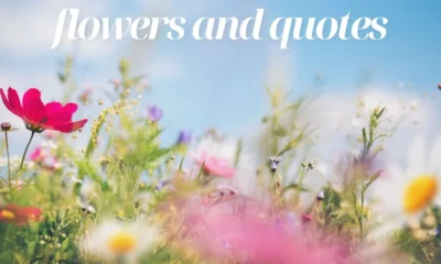 Flowers and Quotes