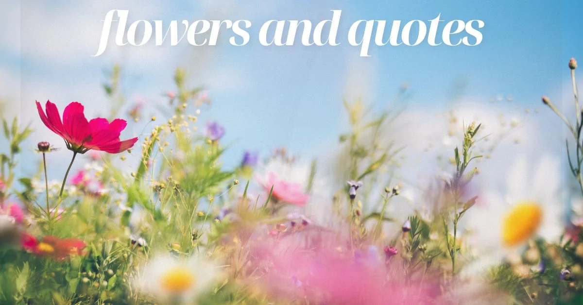 Flowers and Quotes