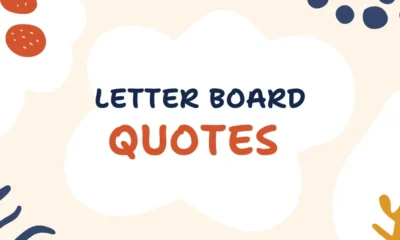 Letter Board Quotes