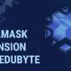 MetaMask Extension TechEduByte