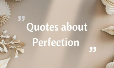 Quotes about Perfection