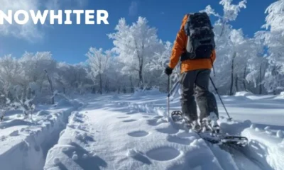 Snowhiter