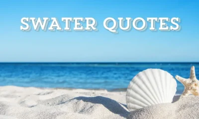 Water Quotes