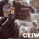 ceiwatch